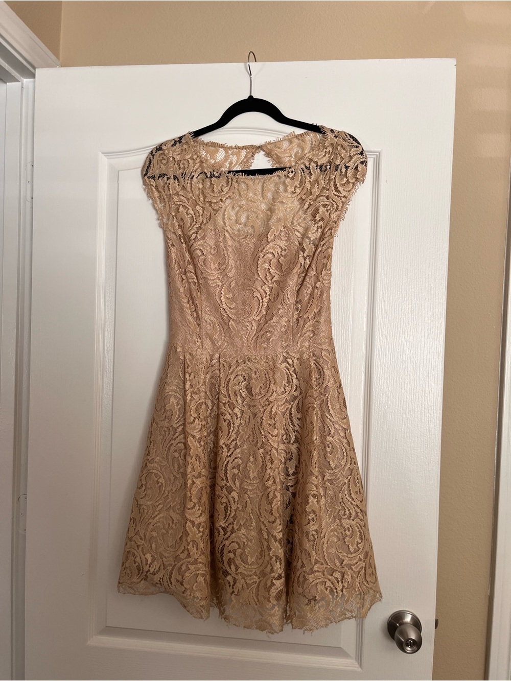 ABS Allen Schwartz Nude Lace Fit & Flare Mini Dress